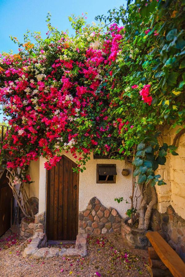 Beit Theresa Dahab Exteriör bild
